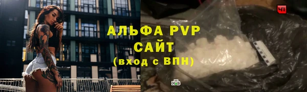 СК Кукмор
