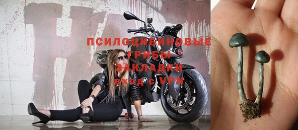 СК Кукмор